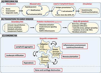 eular recommendations for the management of rheumatoid arthritis 2022